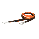 leash Safety Protect